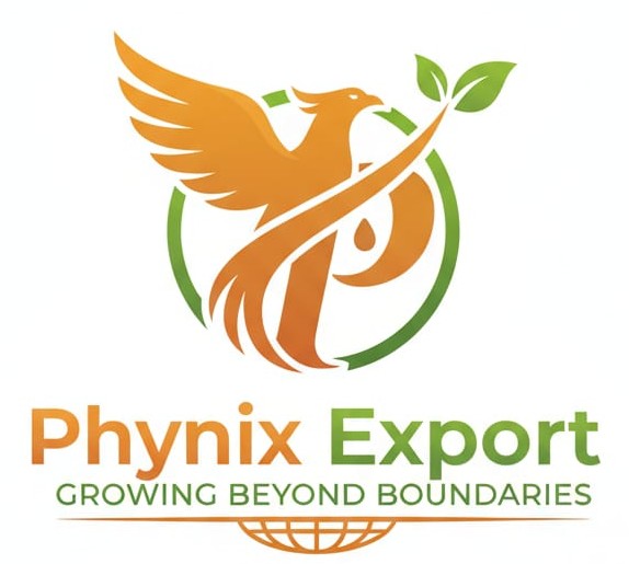 Phynix Export Logo